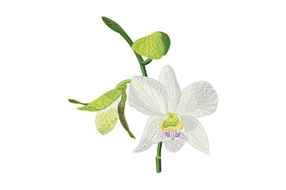 Elegance in Stitches: The Tropical Flower White Orchid Embroidery Design