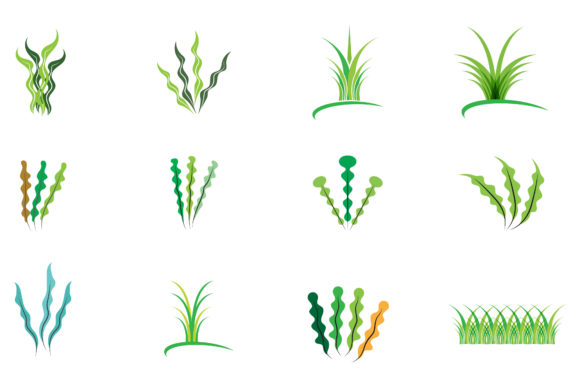 Integrating Seaweed Logo and Symbol Vector Assets into Creative and Business Workflows