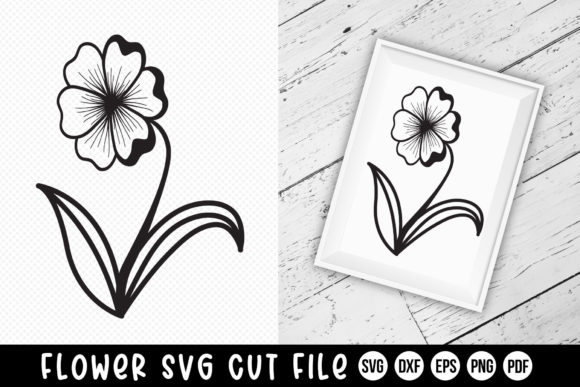 The Versatile Beauty of Flower Wildflower